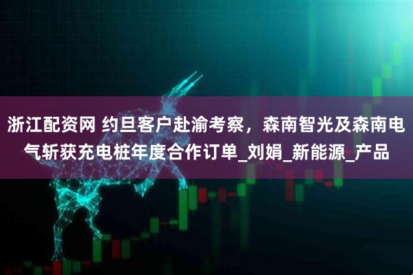 浙江配资网 约旦客户赴渝考察，森南智光及森南电气斩获充电桩年度合作订单_刘娟_新能源_产品
